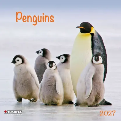 Зображення Penguins 2027