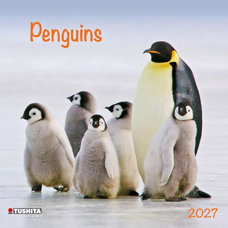Зображення Penguins 2027