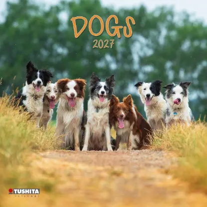 Зображення Dogs 2027