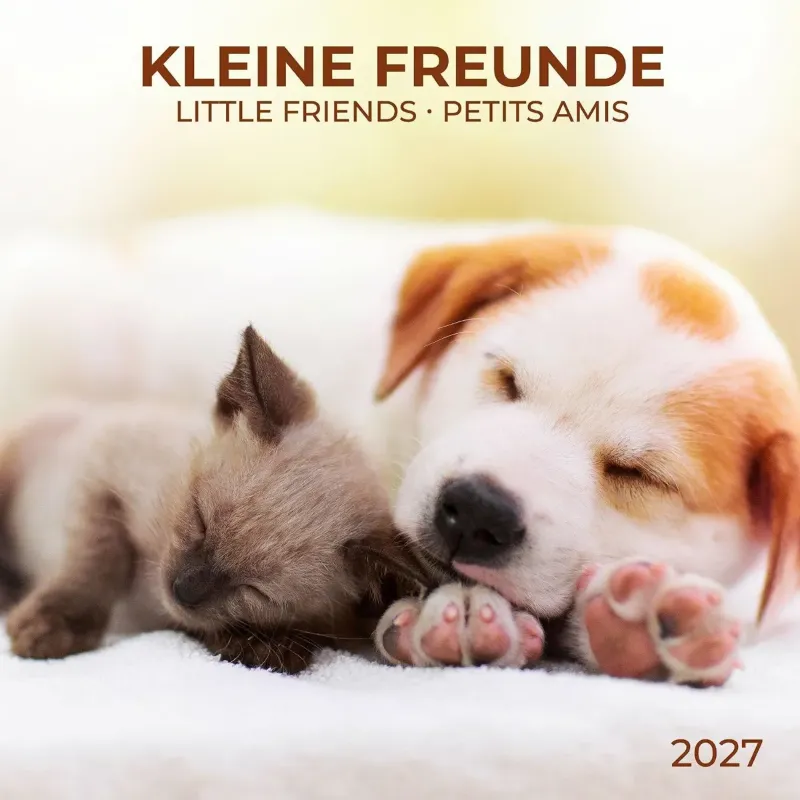 Зображення Kleine Freunde / Little Friends / Petits Amis 2027