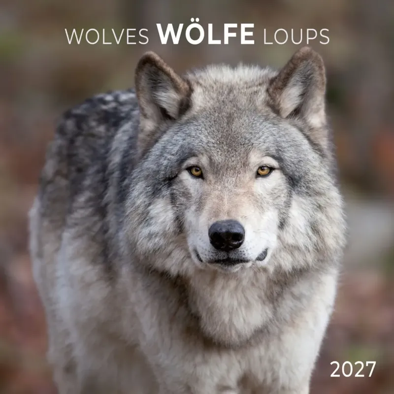 Зображення Wölfe / Wolves / Loups 2027