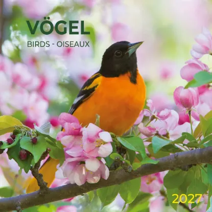 Зображення Vögel / Birds / Oiseaux 2027