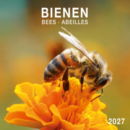Зображення Bienen / Bees / Abeilles 2027