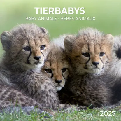 Зображення Календар Baby Animals 2027
