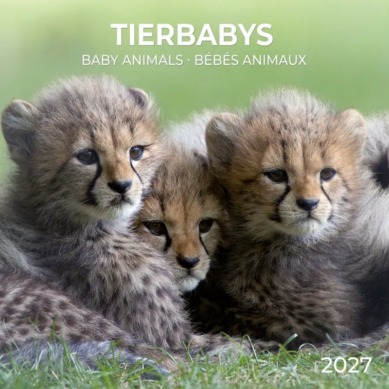 Зображення Tierbabys /Baby Animals / Bébés Animaux 2027