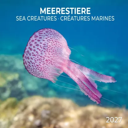 Зображення Meerestiere / Sea Creatures / Créatures marines 2027