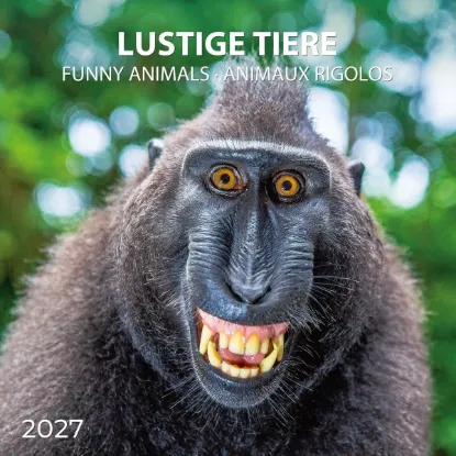 Зображення Календар Funny Animals 2027