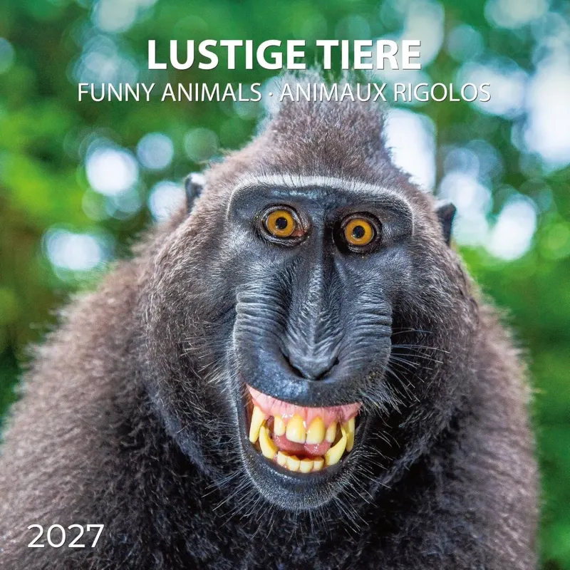 Зображення Lustige Tiere / Funny Animals / Animaux Rigolos 2027