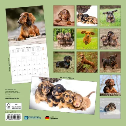 Зображення Календар Dachshund 2027