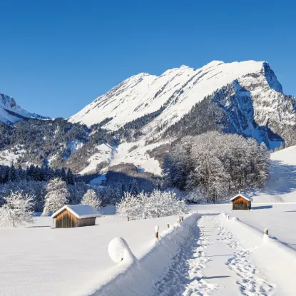 Зображення Календар Alps 2027