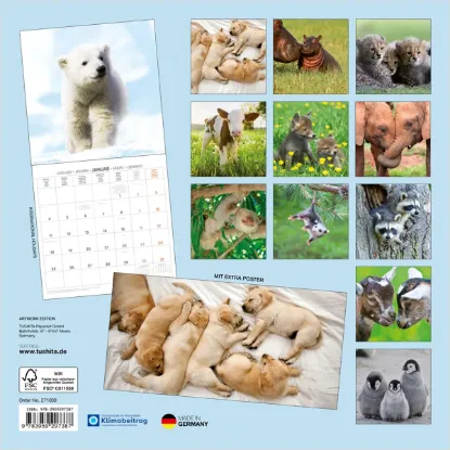 Зображення Календар Baby Animals 2027