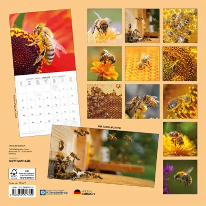 Зображення Календар Bees 2027