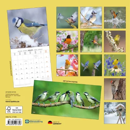 Зображення Календар Birds 2027