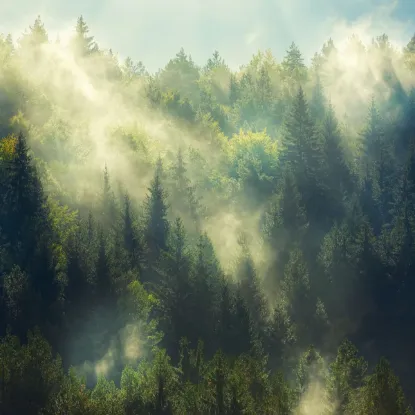 Зображення Календар Forest Nature 2027