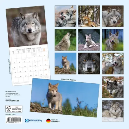 Зображення Календар Wolves 2027