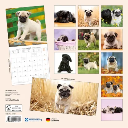 Зображення Календар Puglets 2027