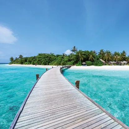 Зображення Календар Dream Island 2027